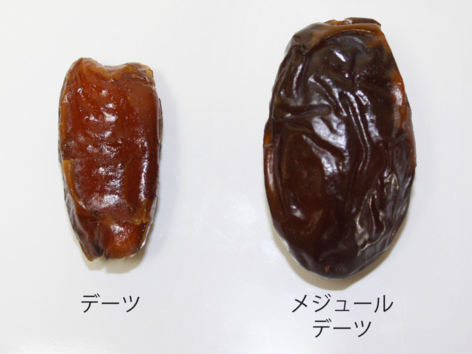 メジュールデーツ